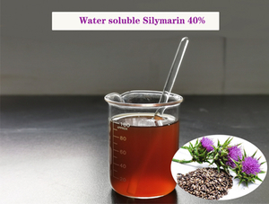 Water soluble Silymarin 40%