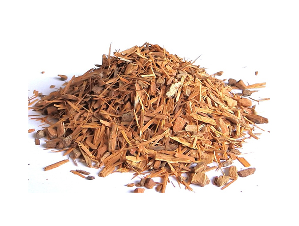 Catuaba Extract