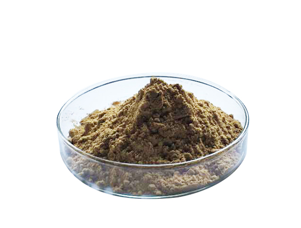 Salvia Root Extract
