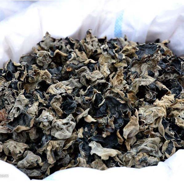 Auricularia auricula ExtractÂ