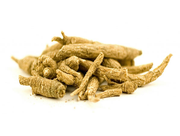 Siberian Ginseng Extract