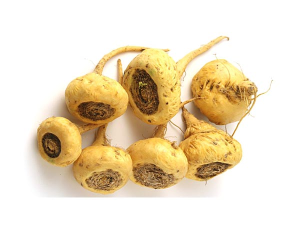 Maca Extract