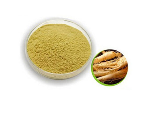 American Ginseng Extract