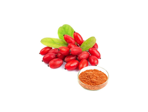 Gojiberry Extract