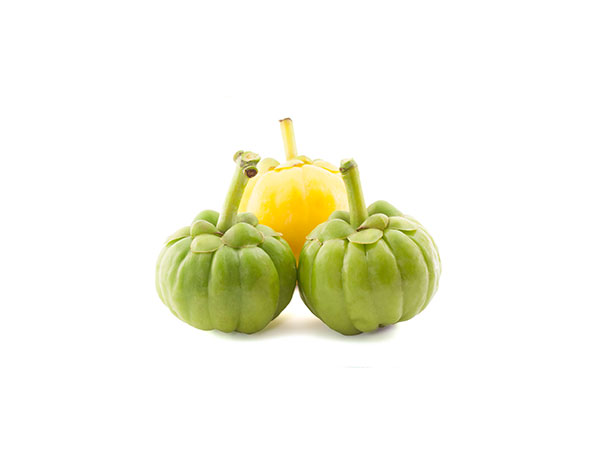 Garcinia Cambogia Extract