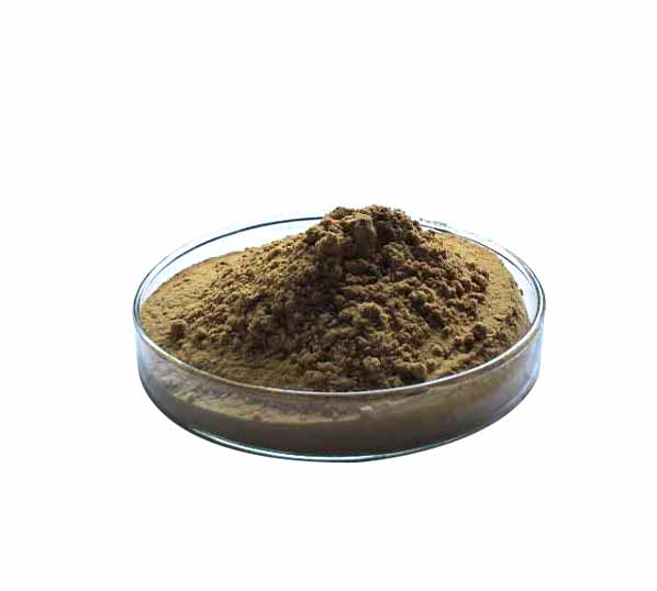 Drynaria fortunei Extract