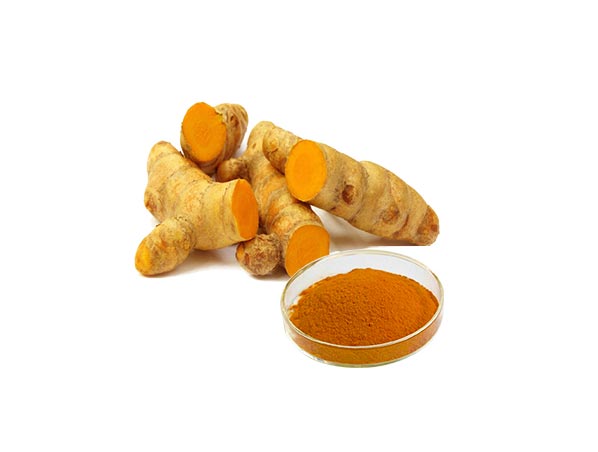 Turmeric Extract