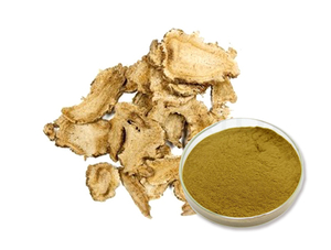 Angelicae pubescentis extract