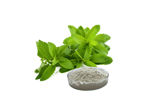Stevia Extract 